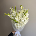 Timeless Gladiolus Bouquet of 12