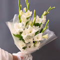 Timeless Gladiolus Bouquet