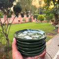 Olive Green Hampton Plate - Set of 6