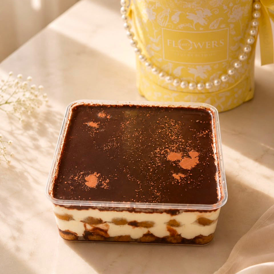 Chocolate Tiramisu