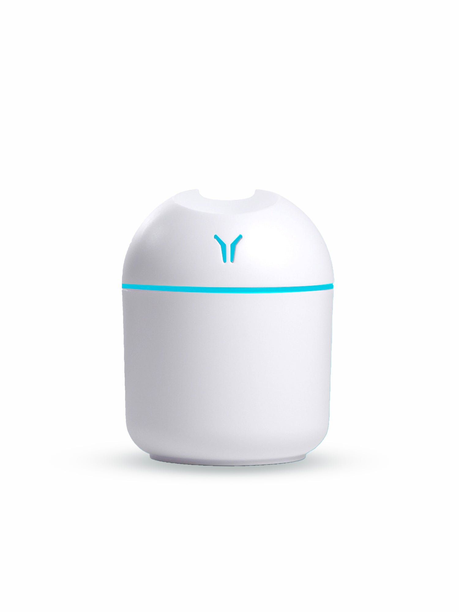 Mini Humidifier
