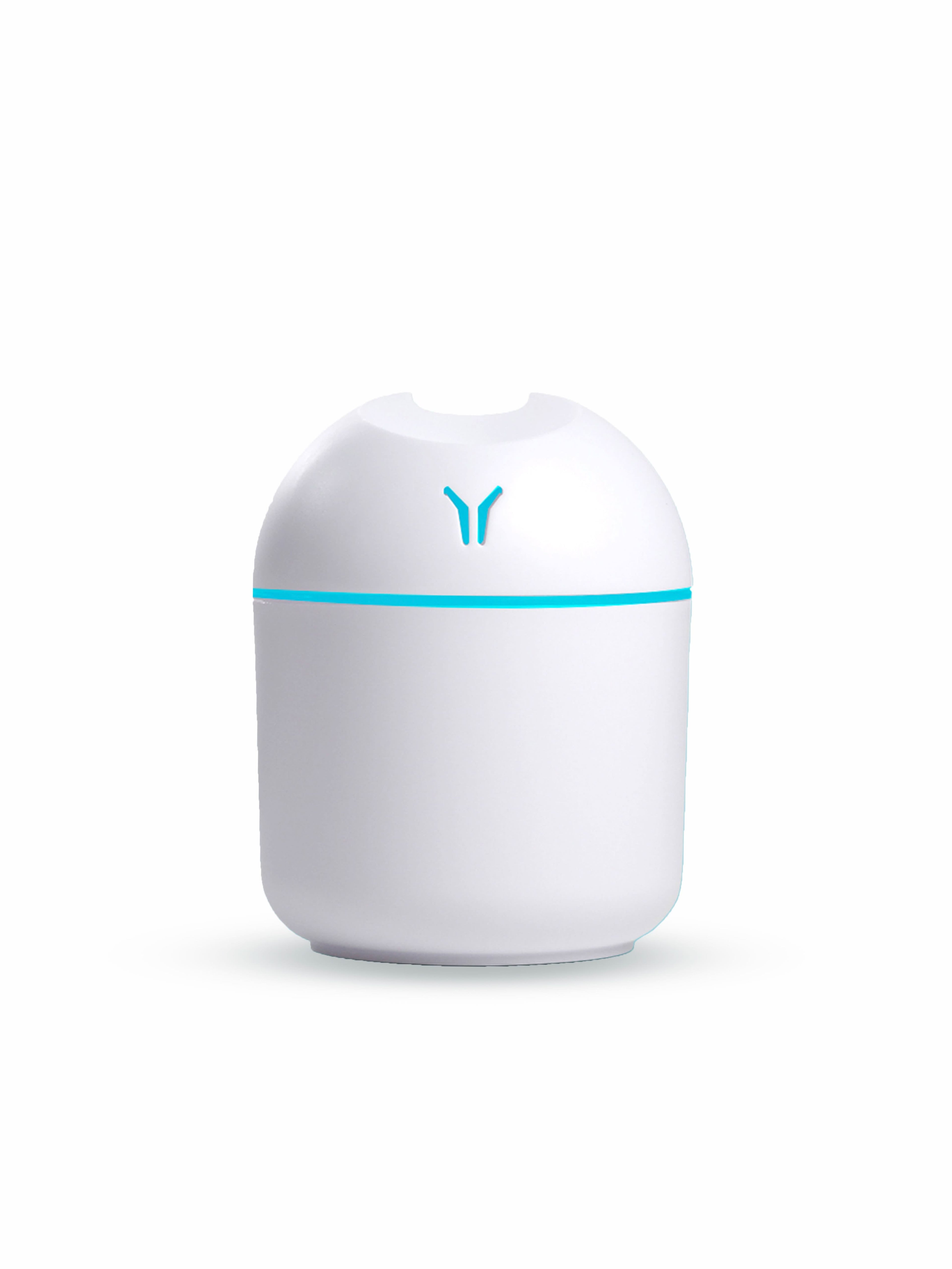 Mini Humidifier
