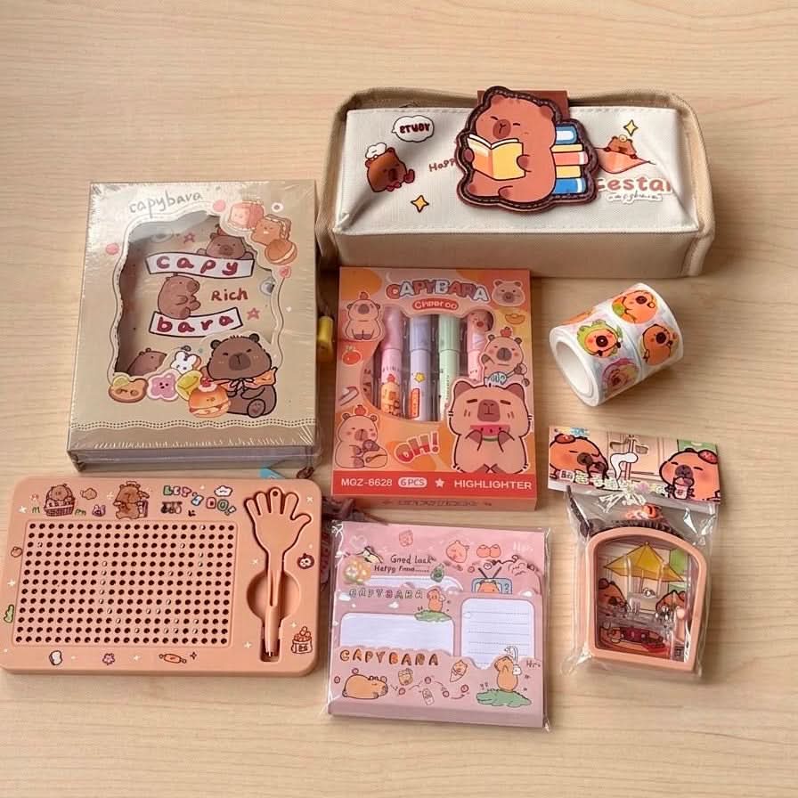Capybara Stationary Set
