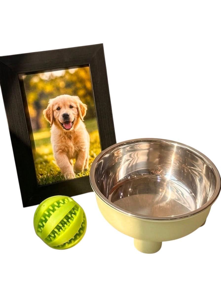 Fetch & Feast Set - Dog