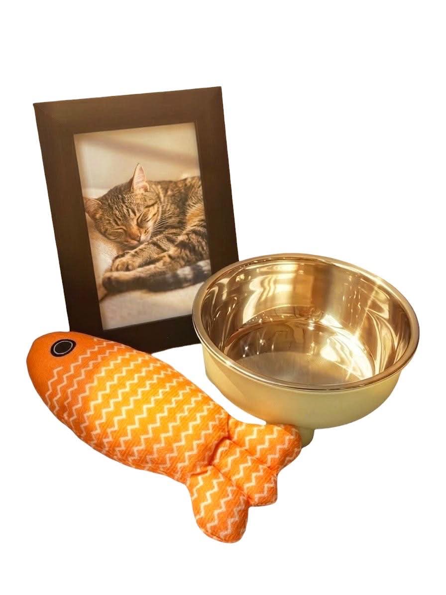 Purr & Play Bundle- Cat