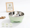 Pet Feeding Bowl
