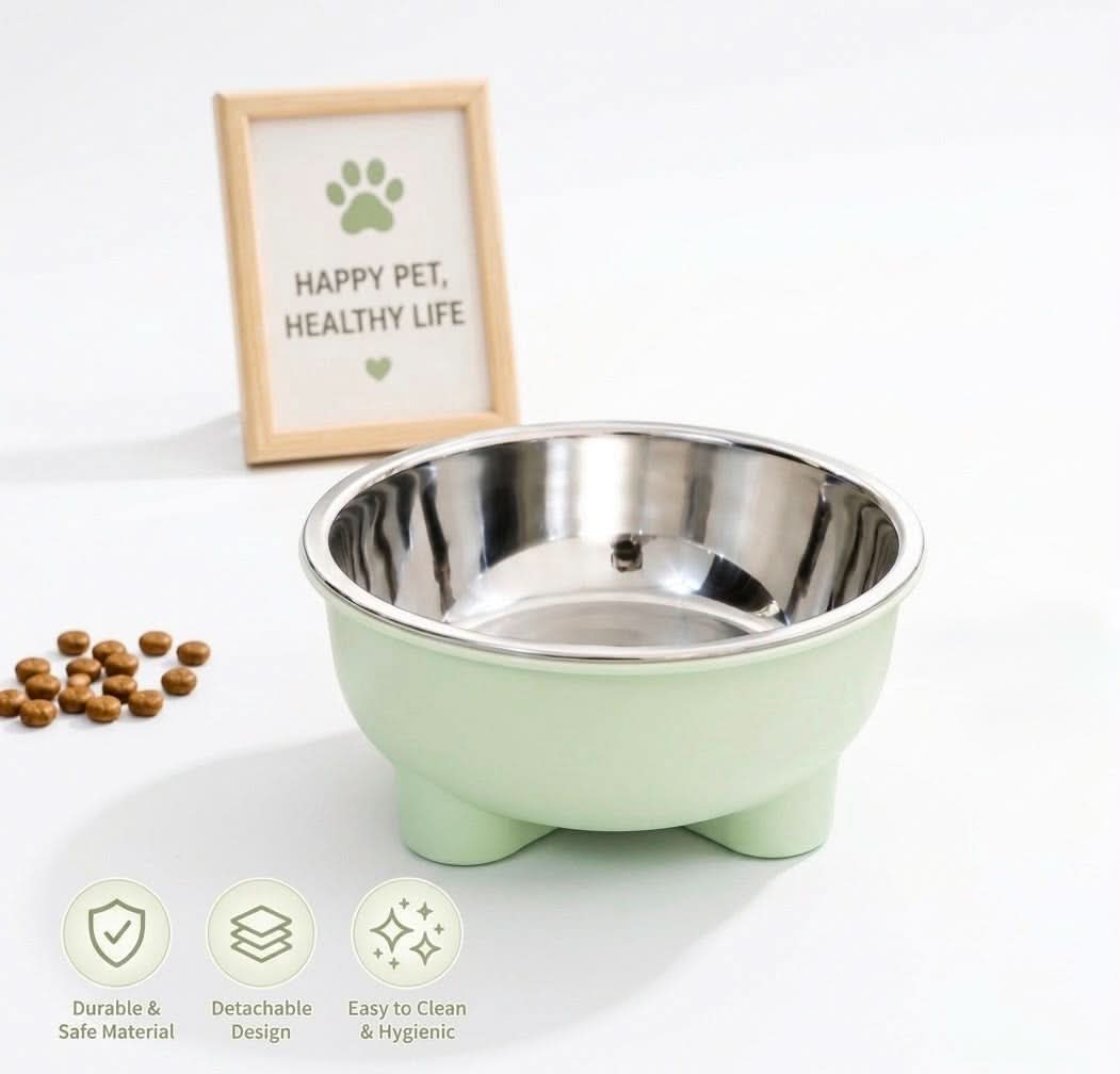 Pet Feeding Bowl