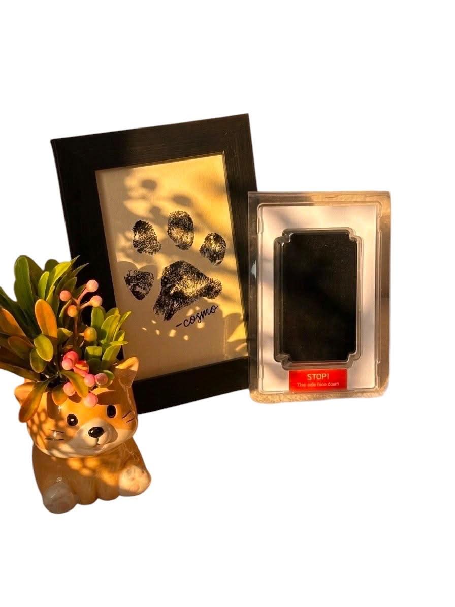 Tiny Paws Keepsake Set Ginger Cat