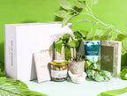 Evergreen Giftbox