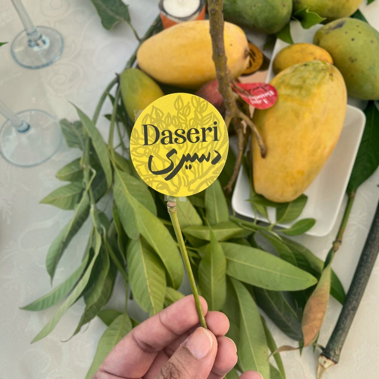 Daseri Mango