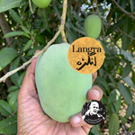 Langra Mango