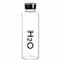 The Everyday H2O Glass Bottle